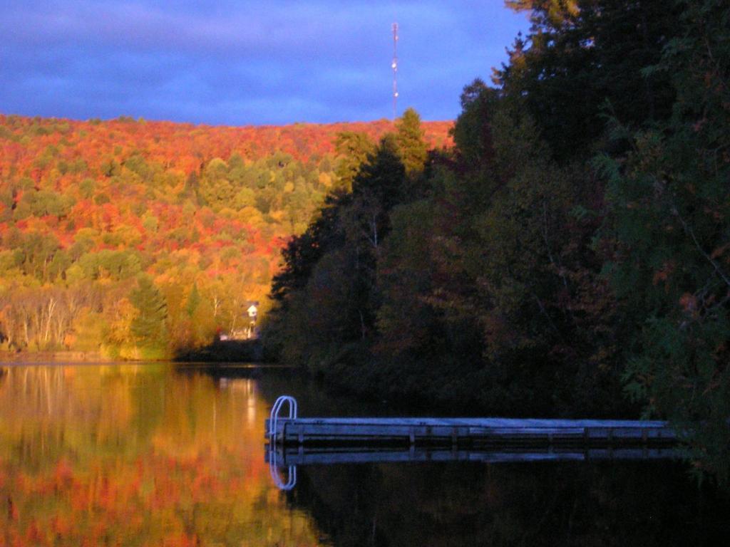 Motel Ours Bleu Lac-Saguay Buitenkant foto