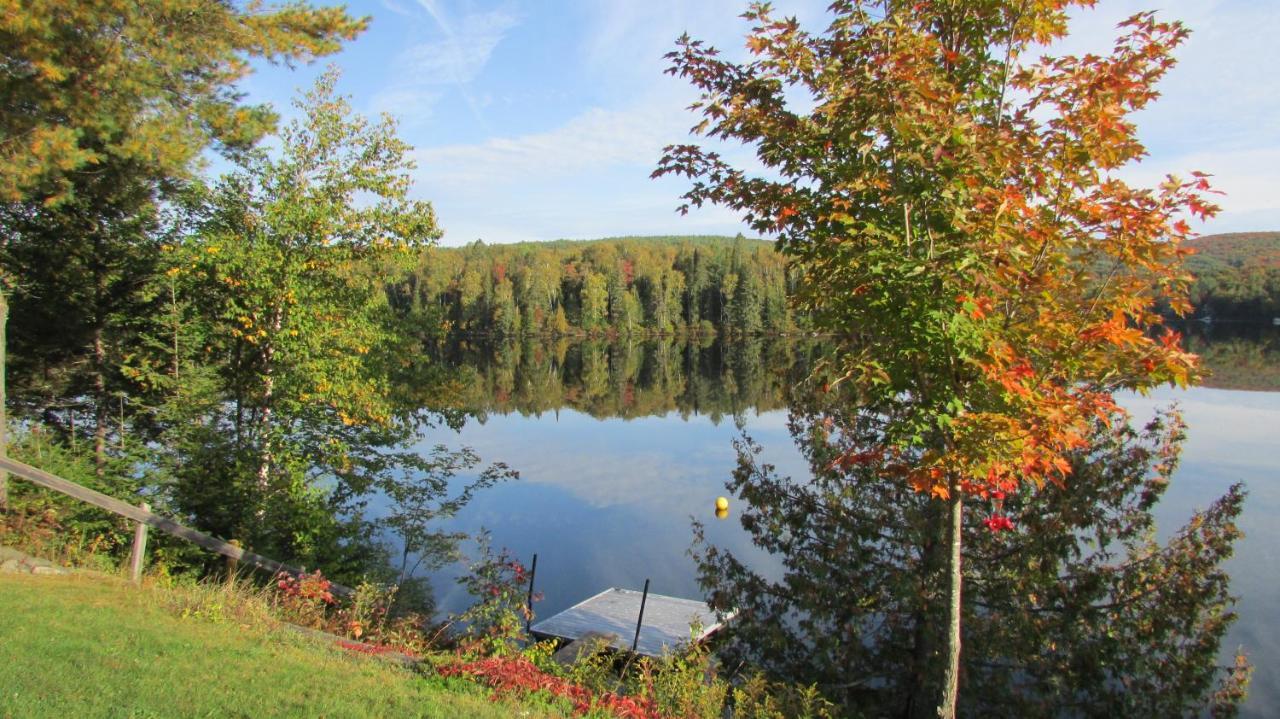 Motel Ours Bleu Lac-Saguay Buitenkant foto